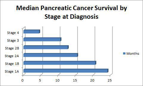 Survival Rate For Metastatic Pancreatic Cancer - CancerWalls